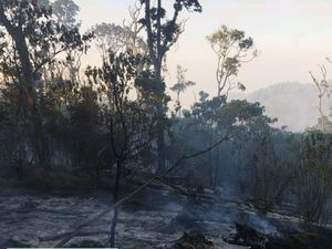 Kebakaran Pegunungan Kawi Wilayah Malang Padam, Api Bergeser ke Blitar