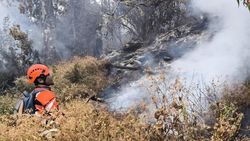 Video: 185 Pendaki Masih Berada di Gunung Buthak Saat Karhutla Melanda
