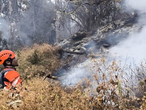 Update Kebakaran Buthak: 284 Pendaki Tersebar di 3 Gunung
