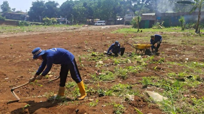 Lapas Kelas IIA Bogor memanfaatkan lahan idle untuk pertanian, memberikan keterampilan bagi napi.