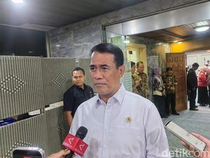 Beras RI Kalah Murah dari Thailand-Vietnam, Mentan: Subsidi Kita Kecil