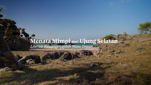 OJK Perluas Literasi Keuangan hingga Ujung Selatan Indonesia