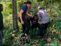Pelanggaran Imigrasi di Tabanan: 2 WNA Dideportasi-3 Belum Mutasi Alamat