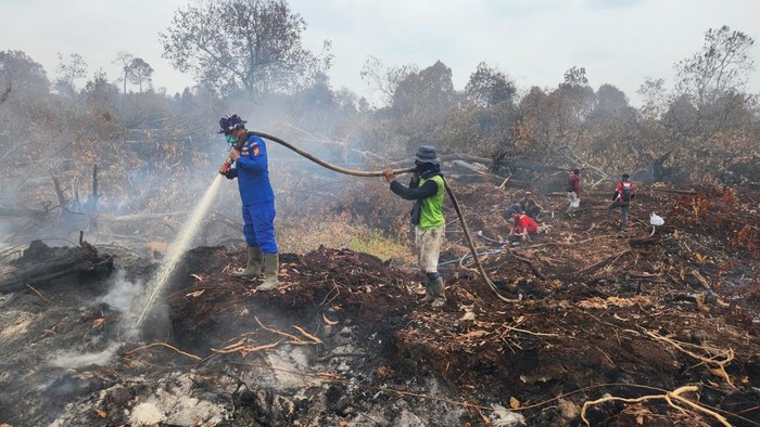 Pendinginan kebakaran di Kerumutan, Kabupaten Pelalawan, Riau