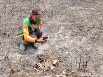 Video: Sejumlah Satwa Jadi Korban Kebakaran Taman Nasional Bromo