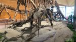 Dinosaurus hingga Robot, Museum Baru di Solo Ini Dirancang untuk Anak