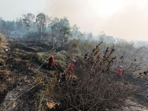 Sumsel Dapat Bantuan Rp 30 Miliar untuk Penanganan Karhutla