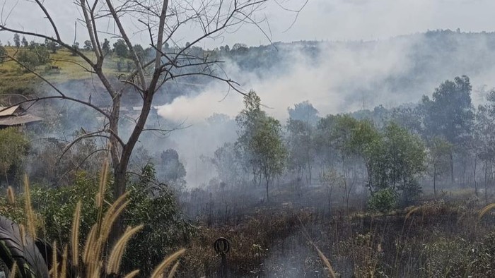 4 Hektare Lahan Kosong di Balikpapan Timur Terbakar.