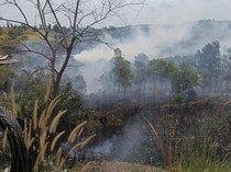 4 Hektare Lahan Kosong di Balikpapan Timur Terbakar