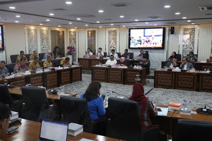 BNPP Tekankan Pentingnya Pengelolaan PPKT dalam RUU Daerah Kepulauan