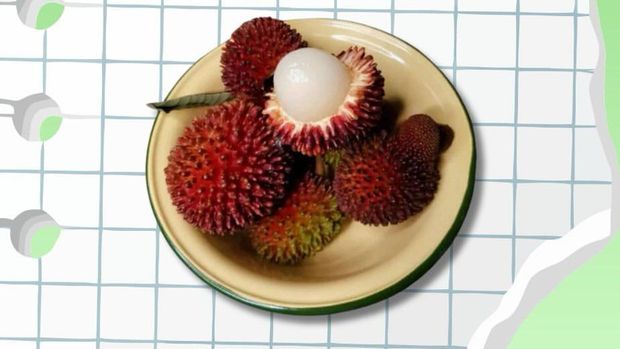 Buah Maritam. (Instagram @bbppbinuang) Buah Maritam. (Instagram @bbppbinuang)