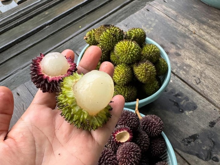 Buah Rambutan dari Kalimantan. (Instagram @norlela100)