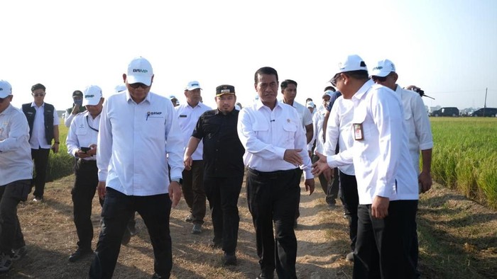 Bupati Subang dampingi Menteri Pertanian