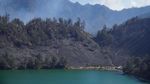 590 Hektare Kawasan TNBTS Terdampak Kebakaran, Vegetasi Menghitam