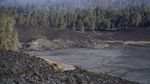 590 Hektare Kawasan TNBTS Terdampak Kebakaran, Vegetasi Menghitam