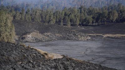 590 Hektare Kawasan TNBTS Terdampak Kebakaran, Vegetasi Menghitam