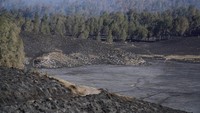 590 Hektare Kawasan TNBTS Terdampak Kebakaran, Vegetasi Menghitam