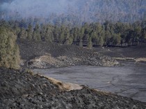 Pengumuman! TNBTS Setop Sementara Izin Shooting di Bromo, Wisata Tetap Buka