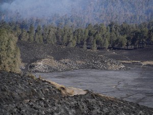 Pengumuman! TNBTS Setop Sementara Izin Shooting di Bromo, Wisata Tetap Buka