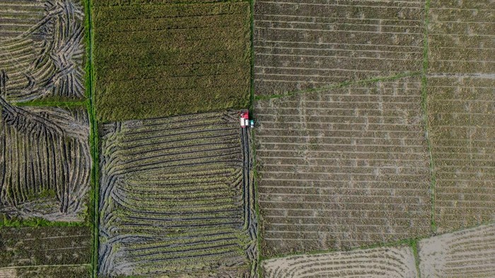 Foto udara petani memanen padi di Kasemen, Kota Serang, Banten, Rabu (2/9/2026). Badan Pusat Statistik (BPS) mencatat nilai tukar petani (NTP) Banten pada Agustus 2026 naik 1,05 persen menjadi 113,02 dibandingkan bulan sebelumnya nan didorong oleh optimasi pupuk bersubsidi dan stabilisasi nilai pokok pedesaan. ANTARA FOTO/Muhammad Bagus Khoirunas