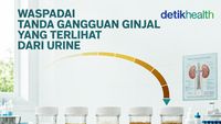 Infografis: Waspadai Tanda Ginjal Rusak, Bisa Terlihat dari Perubahan Urine