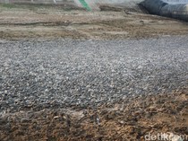 Saran Pakar soal Ribuan Ikan Sapu-sapu di Sungai Juana Pati: Segera Musnahkan!