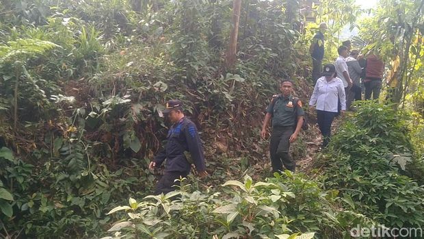 Lokasi hutan di Mendolo Pekalongan lokasi munculnya macan tutul Jawa, Rabu (2/9/2026).
