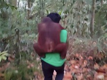 Karhutla Mendekat ke Hutan Khusus di Kaltim, 11 Orang Utan Dievakuasi