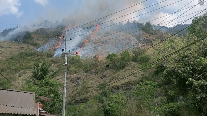 Kebakaran di Gunung Lakawan Enrekang.