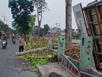 Pekerja di Depok Terpental dari Ketinggian 10 Meter Saat Tebang Pohon