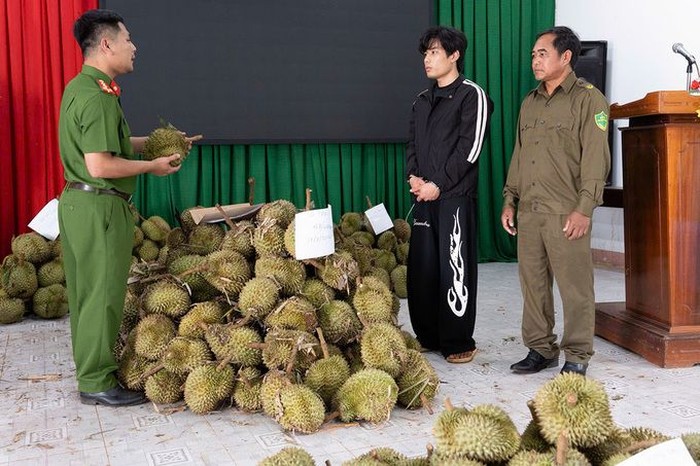 Nekat! Pemuda Ini Curi 1,6 Ton Durian karena Tak Punya Uang