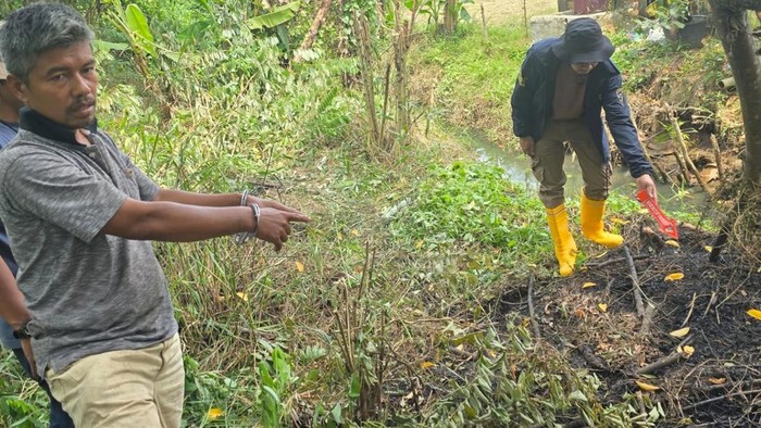 Pelaku pembakaran lahan untuk menanam tanaman di Palembang ditangkap