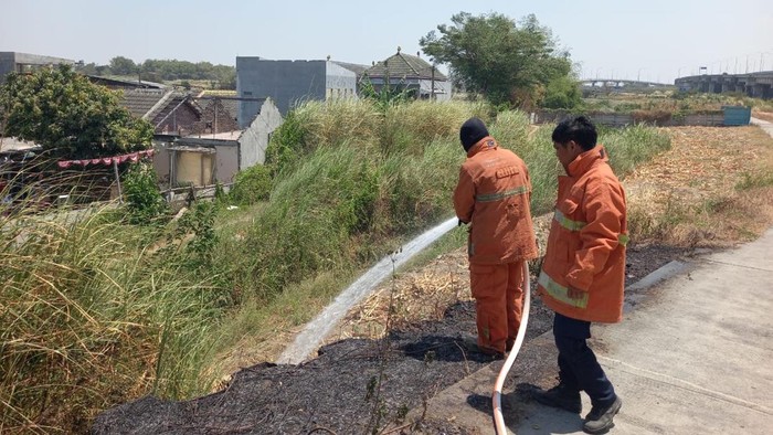 Petugas Damkar saat memadamkan lahan kosong di dekat perumahan Graha Lebani Gresik