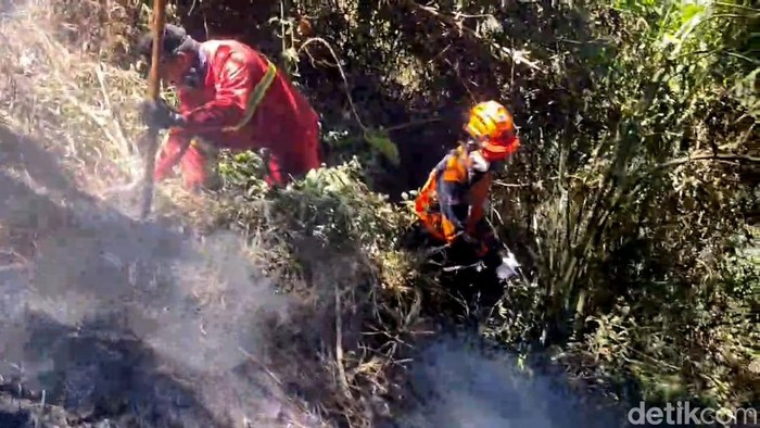Petugas gabungan berjibaku memadamkan kebakaran di kawasan TNBTS Lumajang
