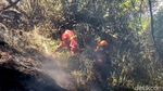 Petugas Gabungan Berjibaku Padamkan Kebakaran di TNBTS Lumajang