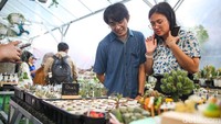 Sejumlah pengunjung tengah melihat koleksi tanaman di Pameran Flora dan Fauna (Flona) 2026 yang berlangsung di Taman Lapangan Banteng, Jakarta.