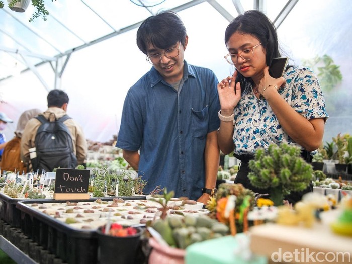 Pameran Flora dan Fauna (Flona) 2026 kembali digelar di Taman Lapangan Banteng, Jakarta Pusat. Mengusung tema “Akar Nusantara Bertumbuh di Jakarta”, kegiatan ini menghadirkan beragam tanaman, satwa, instalasi, serta unsur budaya dari berbagai daerah Indonesia.