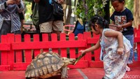 Pengunjung diperbolehkan memberikan makanan kepada sejumlah hewan yang tersedia di area pameran. Aktivitas tersebut menjadi pengalaman tersendiri, terutama bagi pengunjung yang ingin mengenal satwa secara lebih dekat.