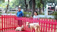 Flona 2026 turut menjadi ruang bagi pelaku usaha dan komunitas untuk memperkenalkan produk serta koleksi flora dan fauna. Pemerintah DKI Jakarta menyebut sekitar 280 tenant turut meramaikan kegiatan tahun ini, termasuk stan instansi dan pelaku usaha.