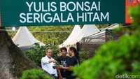 Pengunjung juga dapat menemukan berbagai tanaman hias yang menjadi komoditas utama dalam pameran. Kaktus dan bonsai termasuk tanaman yang menarik perhatian pengunjung, selain beragam tanaman hias lainnya yang ditawarkan oleh para pelaku usaha.