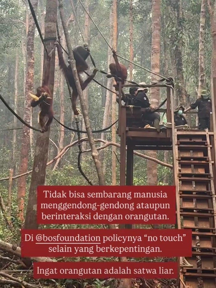 Sherina ikut memadamkan langsung karhutla di Kalimantan.