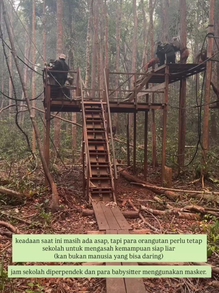 Sherina ikut memadamkan langsung karhutla di Kalimantan.