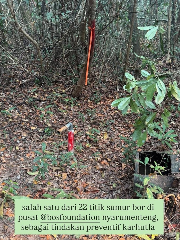 Sherina ikut memadamkan langsung karhutla di Kalimantan.