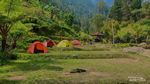 Hidden Gem Karanganyar, Dulu Kebun Kini Jadi Tempat Camping