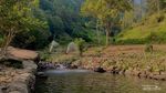Hidden Gem Karanganyar, Dulu Kebun Kini Jadi Tempat Camping
