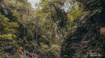 Intip Keindahan Curug Cibaliung, Surga Alami di Sentul