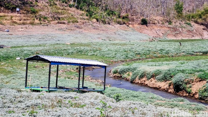 Waduk Bendo Ponorogo kekeringan