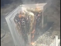 Fakta-fakta Pria Banyuwangi Bakar Al-Quran untuk Status WhatsApp
