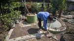 Dari Kotoran Sapi Jadi Energi, UMKM Batik Cirebon Beralih ke Biogas
