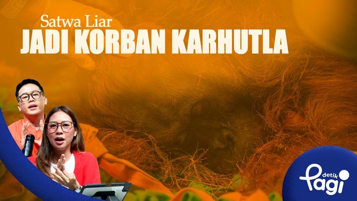 Detik Pagi | Satwa Liar Jadi Korban Karhutla